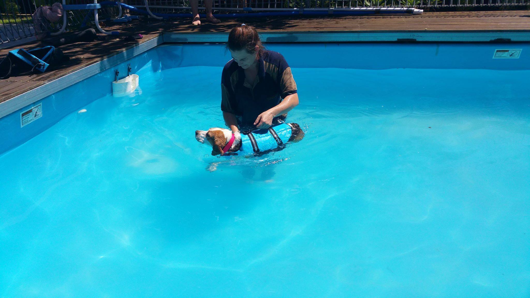 Hydrotherapy (Swimming) Service